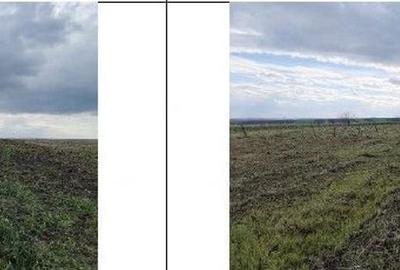 Teren de 10000 mp, în Șipote - 3