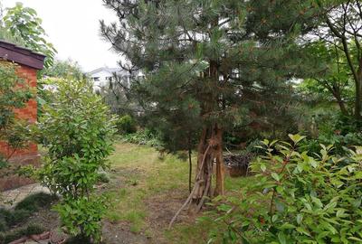 Duplex cu 7 camere cu Canalizare în Central - 25