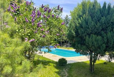 Eleganta in Vila de Exceptie  |   Vila cu piscina incalzita - 5