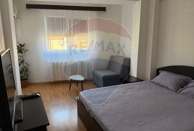Apartament cu 1 camere de închiriat în zona Brazda lui Novac - 2