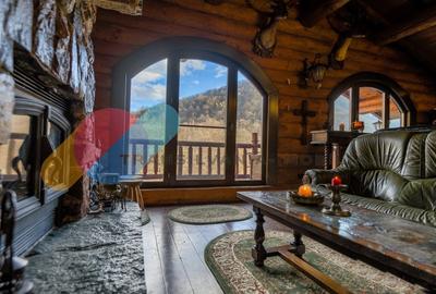 Complex  Printesa din Carpati  - Oportunitate de Investitie Unica pe Valea Aries Complex  Printesa din Carpati  - Oportunitate de Investitie Unica pe Valea Aries - 14