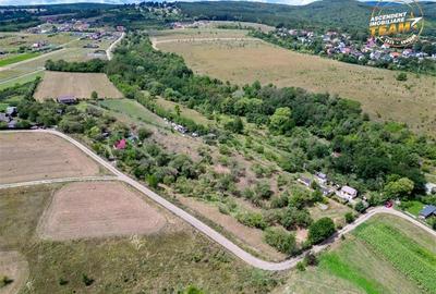 Teren Construcții extravilan de 4500 mp, în Exterior Est