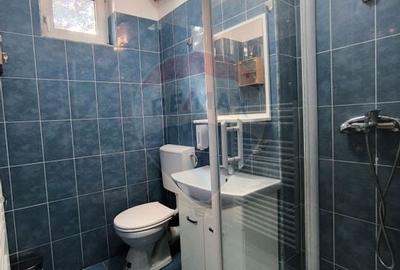 Casa tip duplex de inchiriat - 22