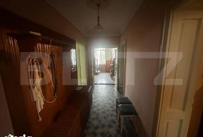 Casă cu 4 camere cu Teren 6197 Mp în Micula - 14