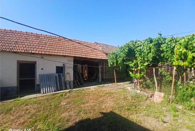 RECO Casa de in Fegernic cu 2541mp teren - 11