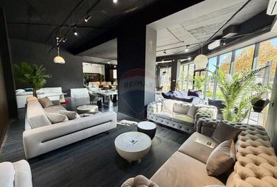 Spatiu comercial 270mp de inchiriat in zona Nord Spatiu comercial 270mp de inchiriat in zona Nord - 19