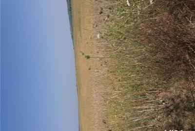 Teren de 5000 mp, în Pleașa - 3