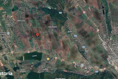 Teren de 4300 mp, în Bălteni - 1
