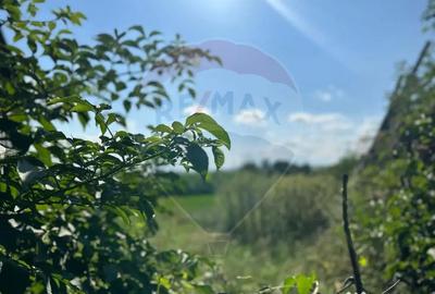 Teren de 3765 mp, în Bodești - 4