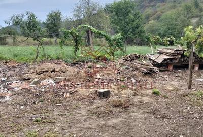 Casa spatioasa | 1500 mp teren - Ticvaniu Mare CS - 11