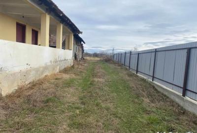 Casă cu 3 camere cu Teren 3300 Mp în Central - 10