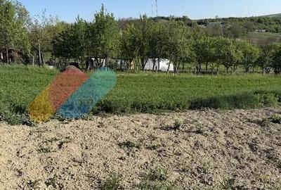 Teren 825 mp in Cojocna, perfect pentru locuinta sau investitie turistica - 3