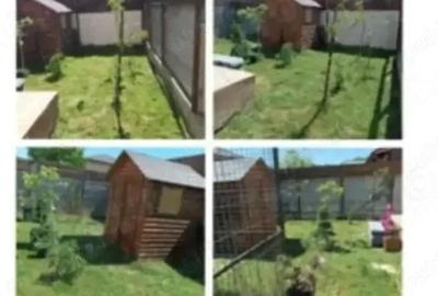 Casă cu Teren 200 Mp în Ilfoveni - 10