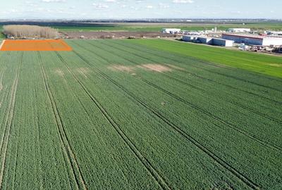 Timisoara Nord - Sanandrei - Lot industrial: 7923 mp - P.U.Z. - utilitati Timisoara Nord - Sanandrei - Lot industrial: 7923 mp - P.U.Z. - utilitati - 3