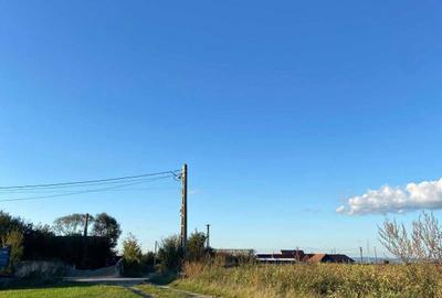 Spațiu comercial, în Sebeș - 5