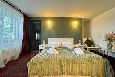 Vanzare Afacere Activa - Hotel - 4 Nivele 750 mp - 9