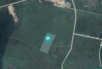 Teren industrial in Sanandrei, aproape de DN69 Teren industrial in Sanandrei, aproape de DN69 - 1