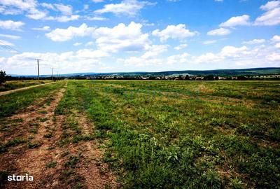 Teren de 17265 mp, în Nojorid