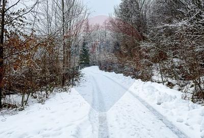 Spațiu comercial, în Moroeni - 5