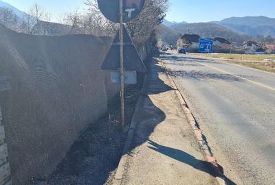 Teren de 4300 mp, în Exterior Vest - 6