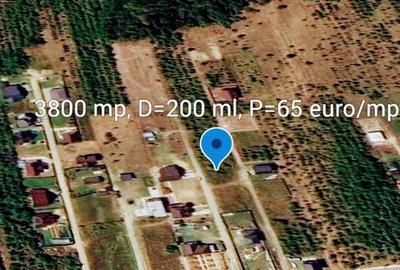 Teren de 800 mp, în Moșoaia - 5