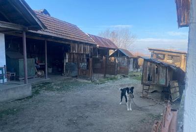 Casa traditionala cu teren generos la tara - Gorj, Șomanesti - 5