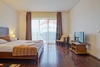 Hotel/Pensiune, de 2,950 mp, în Pănicel - 23