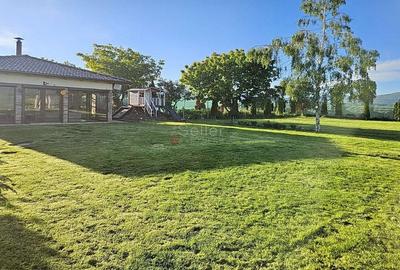 Structura Generoasa Zona Linistita - 3