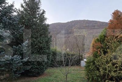 Casa deosebita cu 3 dormitoare ?i jacuzzi, aproape de sta - 4