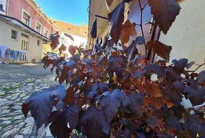 TUR 3D! Refugiu rafinat in Schei, Casa cu 3 camere amenajata cu stil, Brasov - 15