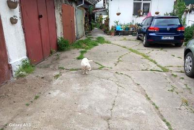 Brasadas.com vinde casa 3 cam 135mp zona ULTRACENTRALA. - 2