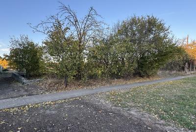 Teren Intravilan in Zona Semicentrala, Becicherecu Mic,2118 mp,Fs. 18m Teren Intravilan in Zona Semicentrala, Becicherecu Mic,2118 mp,Fs. 18m - 2