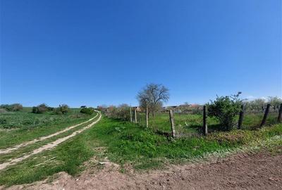 Teren intravilan de 50000 mp, în Pișchia - 5