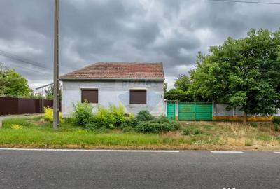 Casă cu 3 camere cu Canalizare în Variașu Mare - 15