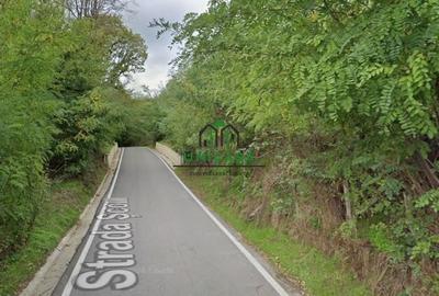 Teren agricol intravilan de 12690 mp, în Est - 3