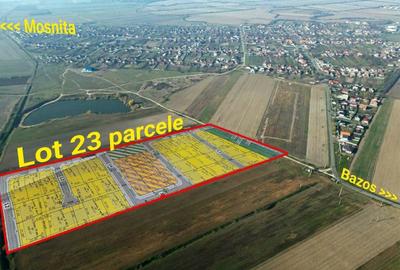 Teren Construcții intravilan de 12097 mp, în Bucovăț (Remetea Mare) - 1