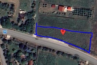 Teren de 1484 mp, în Borșa