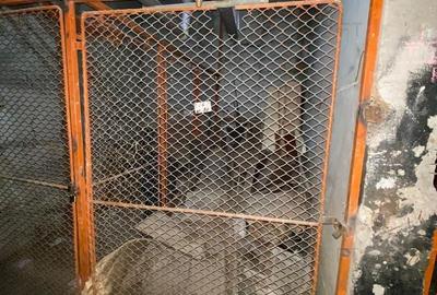 Apartament cu 3 camere decomandat în Pantelimon - 14