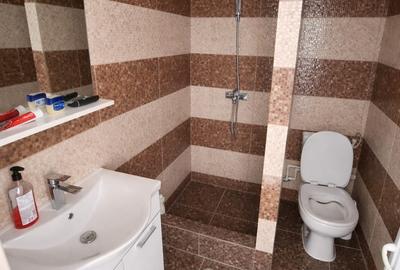Garsonieră decomandată în Craiovița Nouă - 3