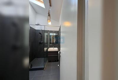 Apartament cu 2 camere semidecomandat, mobilat în Gheorgheni - 6