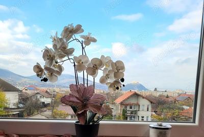 Apartament cu 3 camere decomandat, mobilat în Zăvoi - 11