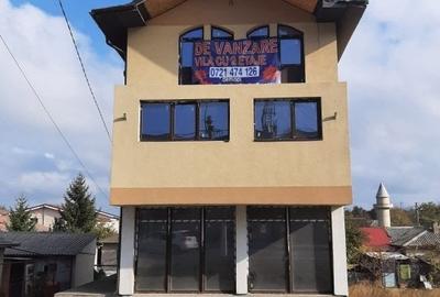 - vila p+1+mAgigea - 2
