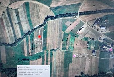 Teren Construcții intravilan de 5046 mp, în Sud-Vest - 3