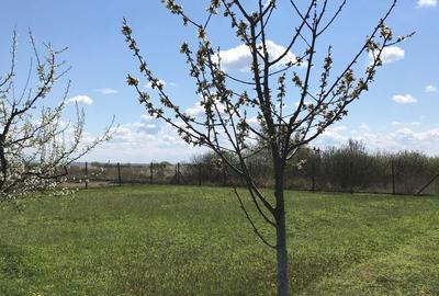 Teren de 3000 mp, în Central