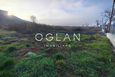 Teren Imprejmuit, la sosea (DN14)- SURA MARE - 7