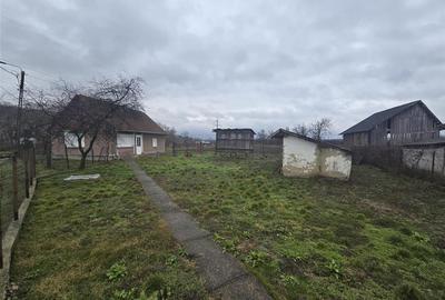 Casă cu 2 camere cu Teren 2685 Mp în Tăuteu - 21