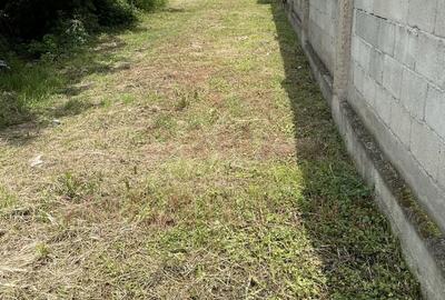 TEREN INTRAVILAN DE VÂNZARE 545 MP \ CARANSEBEȘ \ZONA RACOVIȚEI - 4