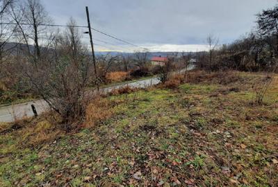 Teren intravilan de 4488 mp, în Exterior Nord - 5