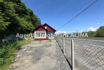 Spatiu comercial spre iesire din Loc. Deva (spre Mintia) zona Izvorul Decebal, Jud. Hunedoara. - 3