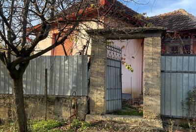 Casă cu 3 camere în Ineu